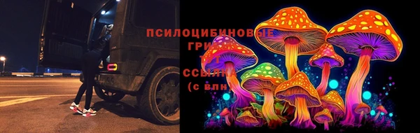 гашик Волосово