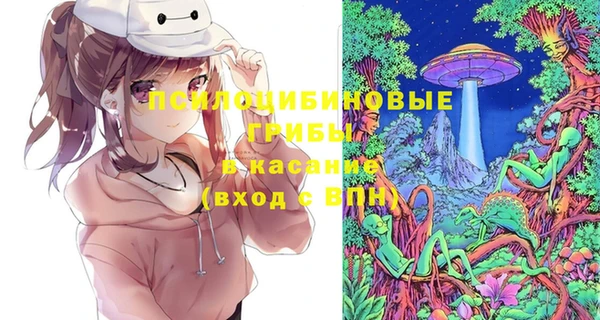 гашик Волосово