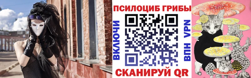 KRAKEN ССЫЛКА  Омск  Галлюциногенные грибы Magic Shrooms 